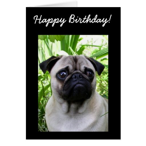 pug birthday ecards happy holidays ecards cards invitations ideas pug birthday ecards happy holidays ecards cards invitations ideas