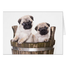Happy Birthday Pug Puppy Dog Greeting Card - Verse