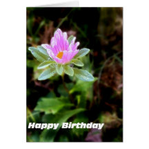 Happy Birthday Wishes Card