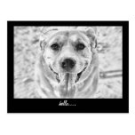 Happy Dog face postcard