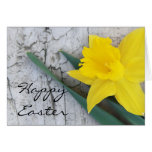Happy Easter daffodil cards