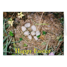 Happy Easter - Eggs Cards