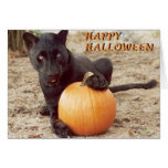 Happy Halloween Cards