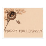Happy Halloween Owl Postcard