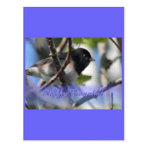 happy hanukkah happy chanukah bird junco post card