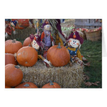 Happy Harvest Card