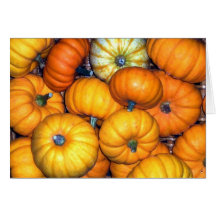 Happy Harvest Card