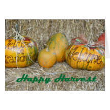 Happy Harvest Greeting Cards