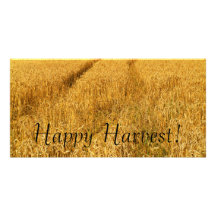 Happy Harvest! Personalized Photo Card