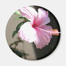 Happy Hibiscus Too Magnet