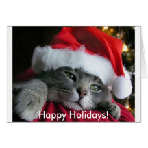 Happy Holidays! Cute Kitten Card