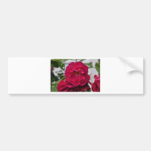 Happy Mothers Day Bumper Stickers