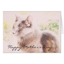 Happy Mother's Day... Cards
