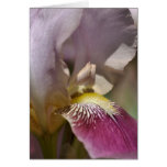 Happy Mother's Day - Iris Flower Card