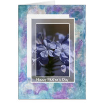 Happy Mother's Day - Plumbago flowers cards