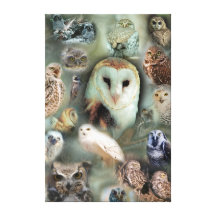 Happy Owls canvas print