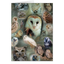 Happy Owls Cards