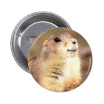 Happy Prairie dog button