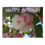 Happy Spring Double Blossoming Cherry Postcard