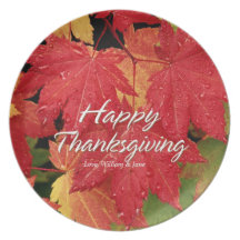 Happy Thanksgiving 8 Plate