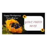 Happy Thanksgiving Boxer puppy photocard Custom Photo Card