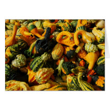 Happy Thanksgiving Gourds Greeting Card