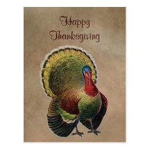 Happy Thanksgiving Postcard