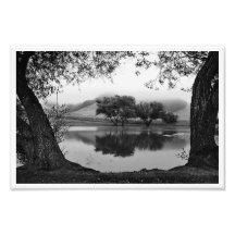 Happy Trees Photo Art