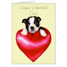 Happy Valentine's Day Boston Terrier Card