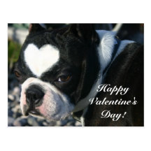 Happy Valentine's Day Post Cards