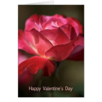 Happy Valentine's Day - Rose cards
