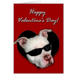 Happy Valentine's Pitbull  greeting card