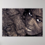 hard look print
