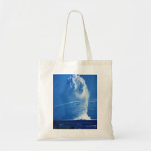 Hardtack Umbrella Underwater Nuclear Test 1958 Canvas Bags