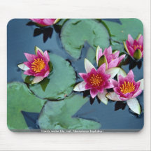 Hardy water lily, red, Nymphaea laydekeri Mousepad