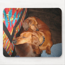 Harley and Toby - I Got Your Back mousepad