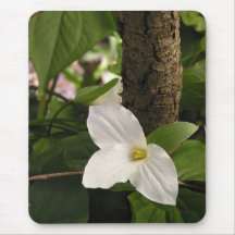 Harmony mousepad