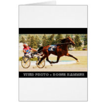 Harness Racing Cards