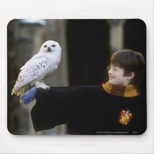 Harry and Hedwig 3 Mousepads