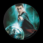 Harry Potter and Voldemort Only One Can Survive magnets