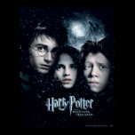 Harry Potter Movie Poster posters