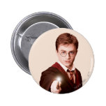 Harry Potter Points Wand buttons