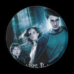 Harry Potter Ron Hermione In Forest magnets