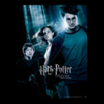 Harry Potter Ron Hermione In Forest posters