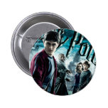 Harry Potter With Dumbledore Ron and Hermione 1 Pins