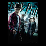 Harry Potter With Dumbledore Ron and Hermione 1 posters