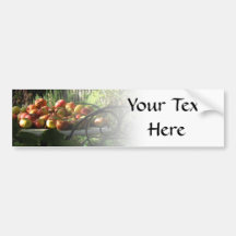 Harvest Apples Bumper Sticker