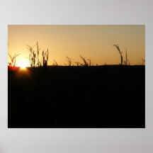 Harvest Fields Poster