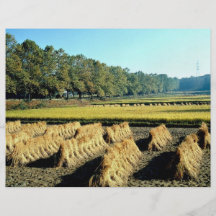 Harvesting in fall personalized flyer