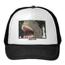Hat - A Vegetarian Big Fish